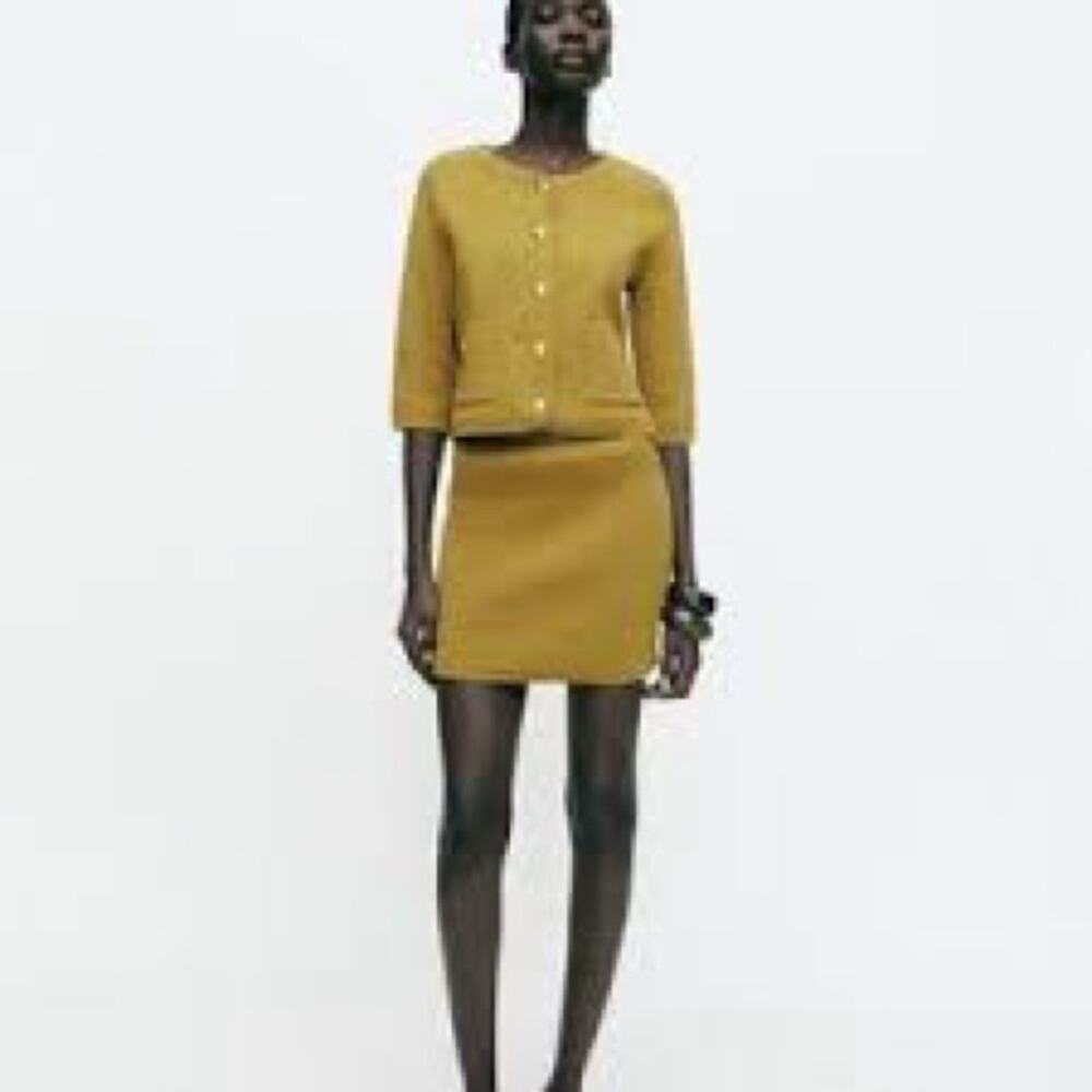 Zara Basic Mini Skirt